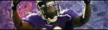 Baltimore Ravens Ed-Reed