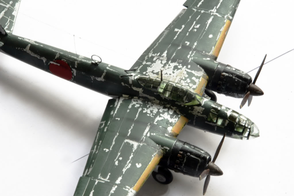 P1Y1 Frances Night Fighter [Hasegawa 1/72] _MG_8751