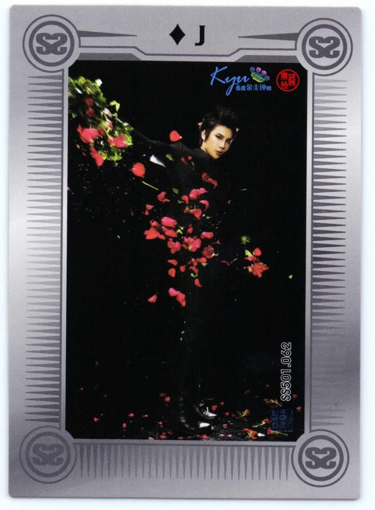 [SS501] SS501 Star Collection Card  332a4030139beb735bb5f52a