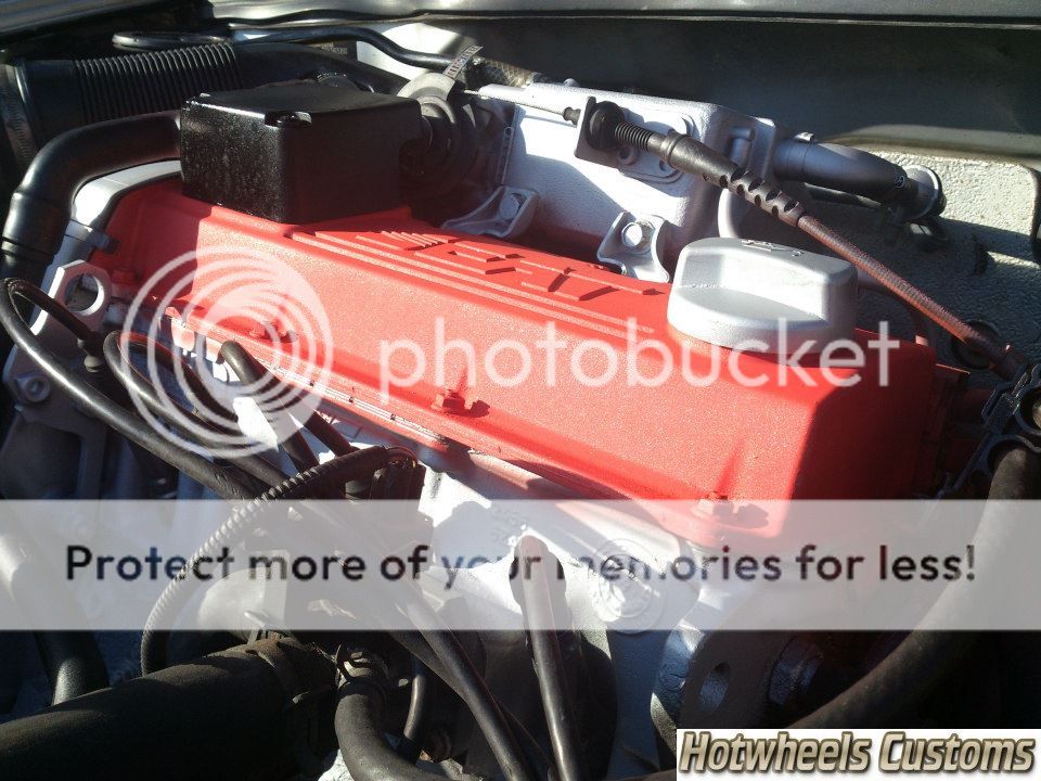 Ibiza 6k GTi Cupra Sport(AGG 8v) 559238_10151111541361052_822649826_n