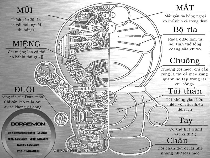 Cấu tạo bên trong và các bộ phận của Doraemon Doraemon_anatomy