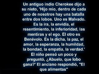 Charla con Ruben, sobre su Magna, el espiritu de los encuentros, etc... ALIMENTARALLOBO