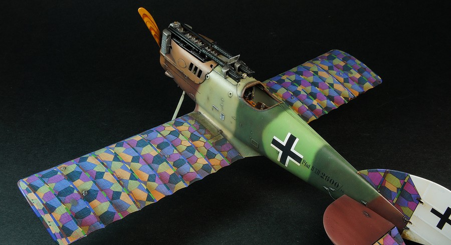 Pfalz D.XII  Wingnut Wings 1/32 DSC04962