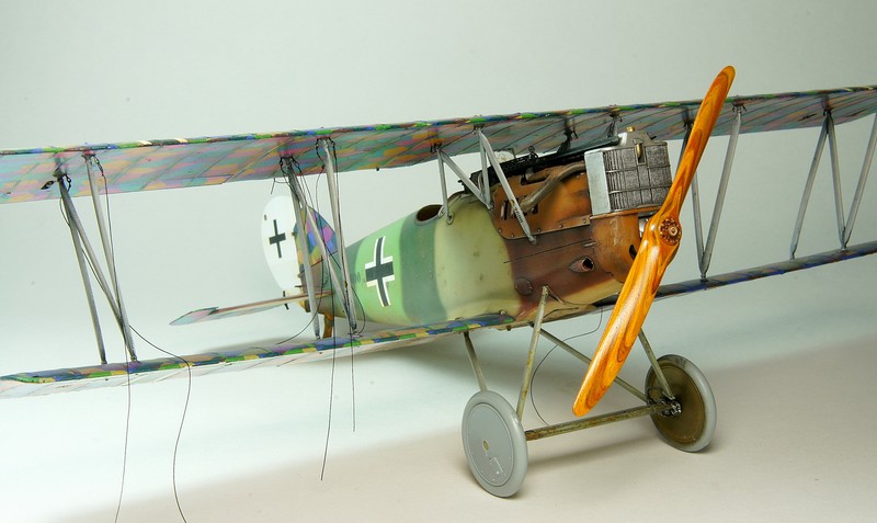 Pfalz D.XII  Wingnut Wings 1/32 DSC05239