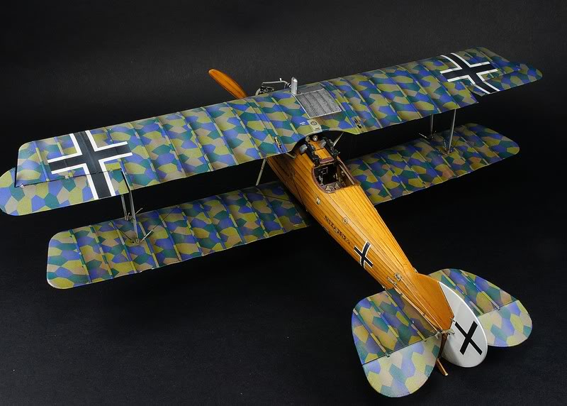 Roland  D VIa      Wingnut Wings 1/32 DSC09224