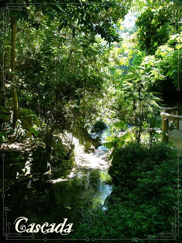 Cascadas del parque GriffithParkcascada