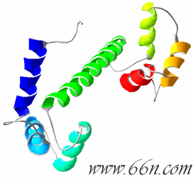 2- البروتينات  Calmodulin