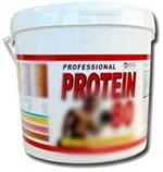 2- البروتينات  Why-is-protein-so-important-when-muscle-building2-285x300