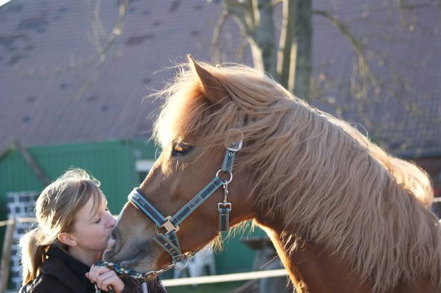 Magic Whisper - Bilder eines Magischen Pferdelebens - Seite 18 DSC00272