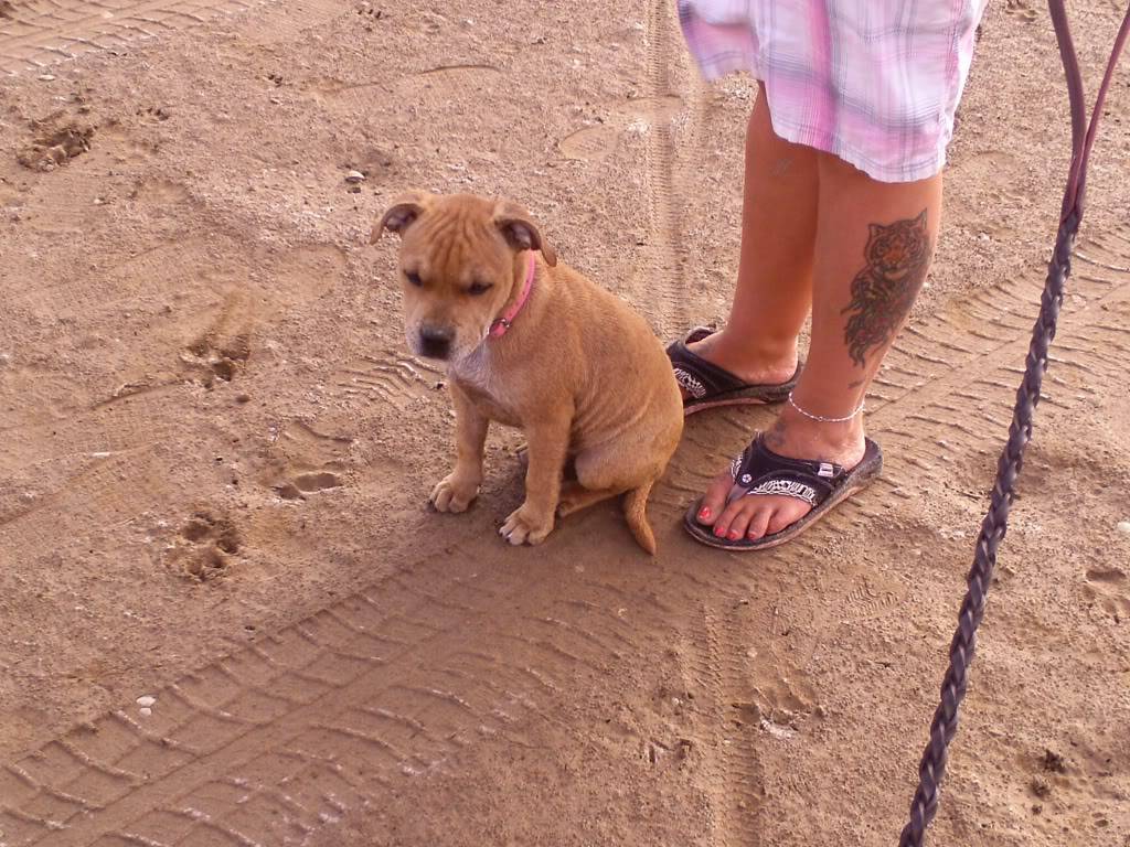 new bed and solars first walk Gannel009