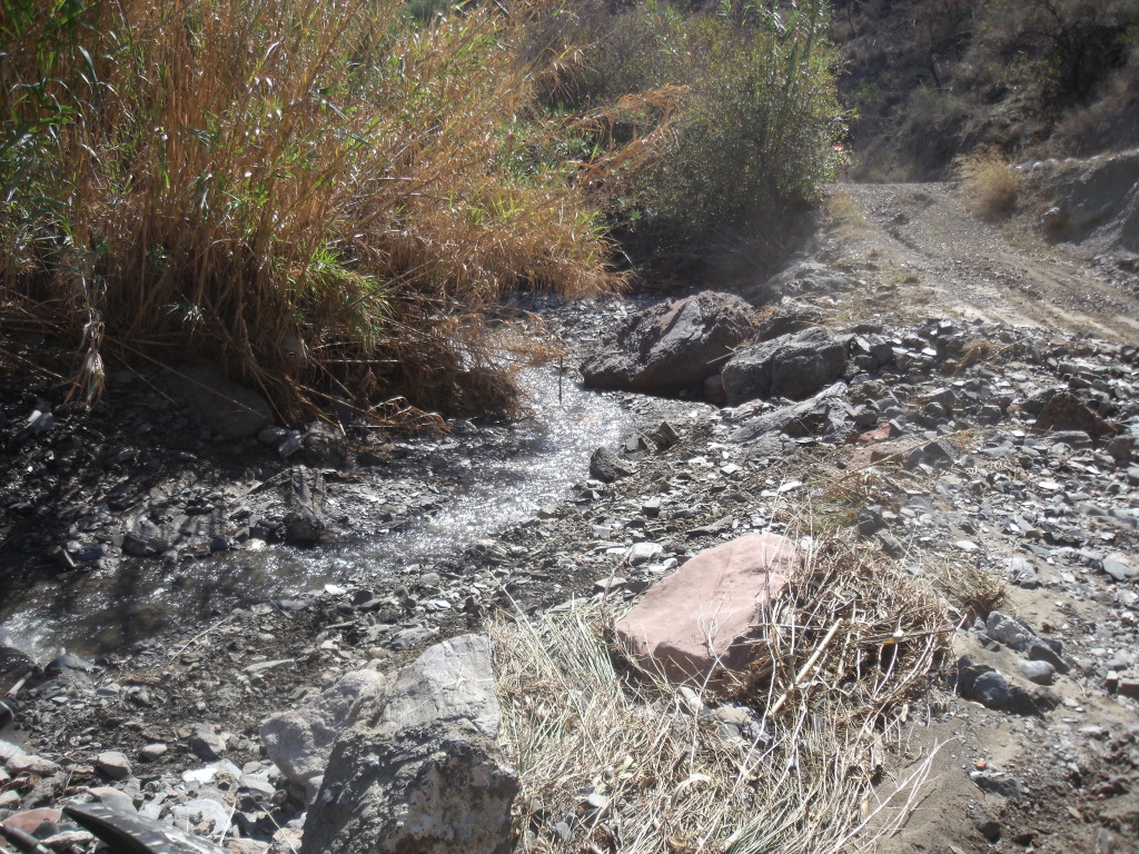 Cronicas de la loja 500 trail. DSCF9300