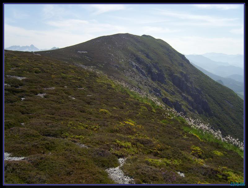 PEÑA DEL AGUILA 1867 MTS Y REMELENDE 1889 MTS DESDE PTº LAS SEÑALES AGUILAYREMELENDE76