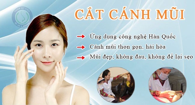 Những vấn đề về phẫu thuật cắt cánh mũi Cat-canh-mui-o-dau-dep-tai-ha-noi_zpspvrjsa7c