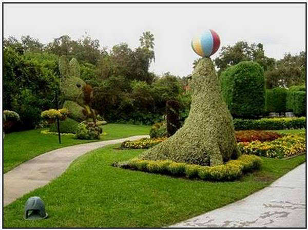 திறமையின் வெளிப்பாடு   AnimalGarden-WorldsBeautifulPark7