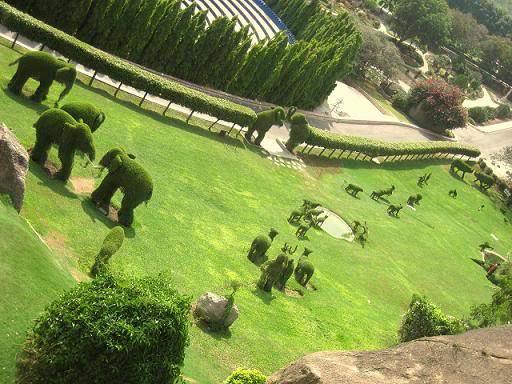 திறமையின் வெளிப்பாடு   Animal-shaped-garden