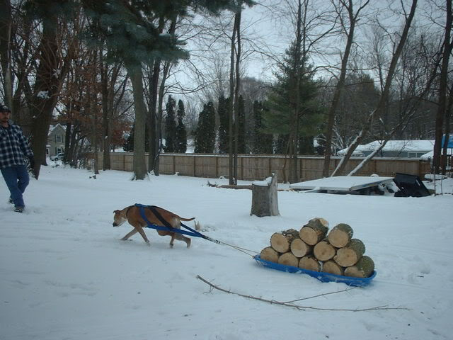 Rocky WinterblastDecember312007-Januar-2