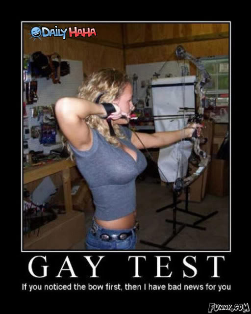 the gay test 1