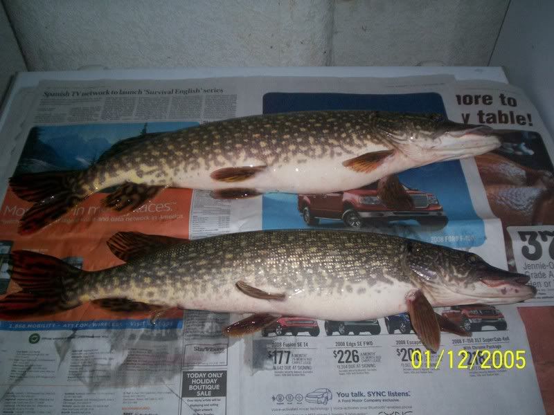 2 nice pike 100_3490lake7