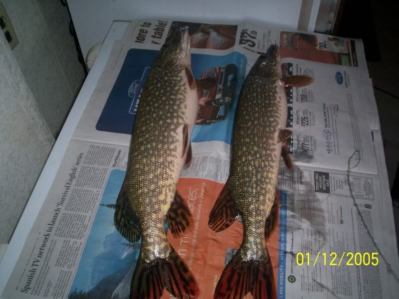 2 nice pike 100_3491lake8