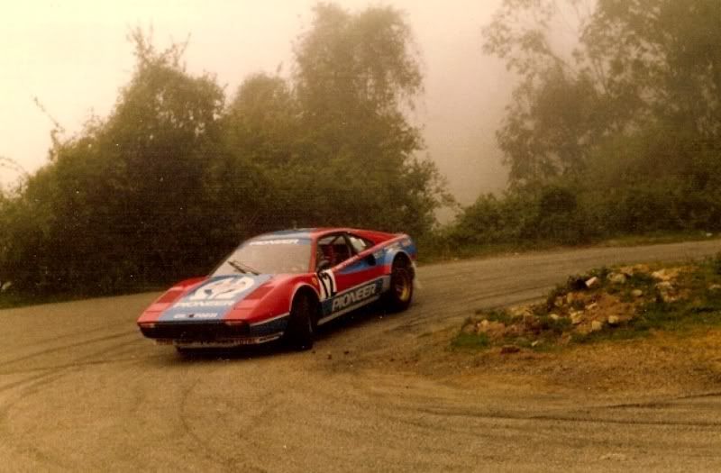 Ferrari 308 GTB Rally- TDC1982Andruet308