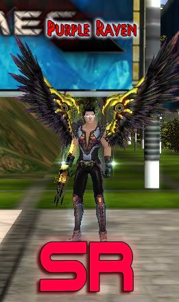 RAVEN SET ( WING SET) Purpleraven