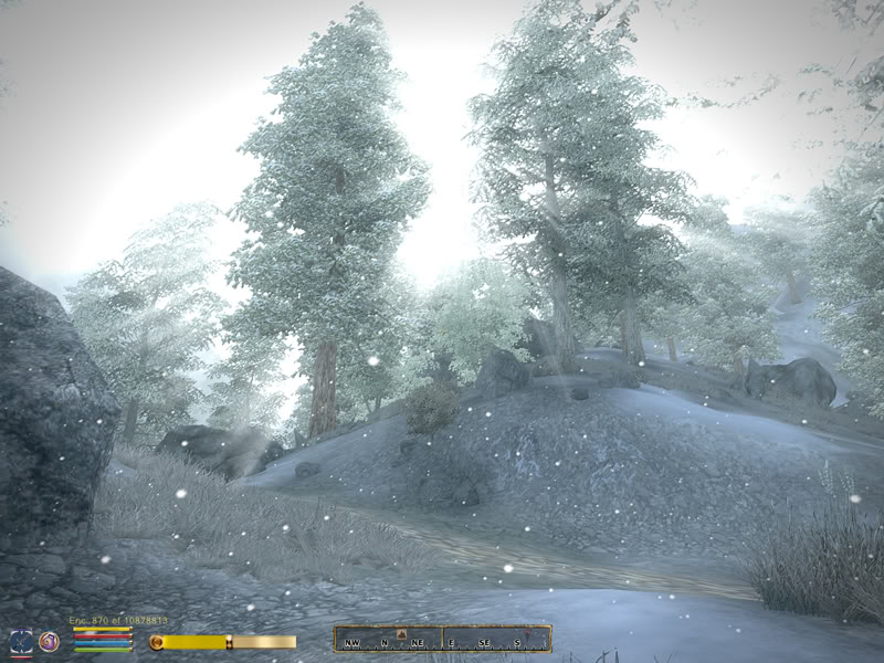 Video Game Modding [Screenshots: Oblivion] ObliModsScreenie4800