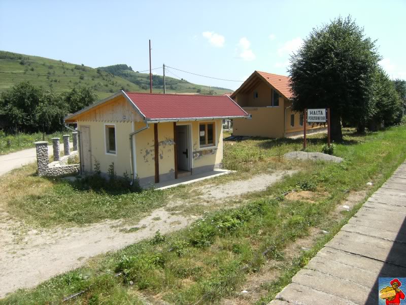 308 : Sighisoara - Odorhei - Pagina 2 DSCF0629