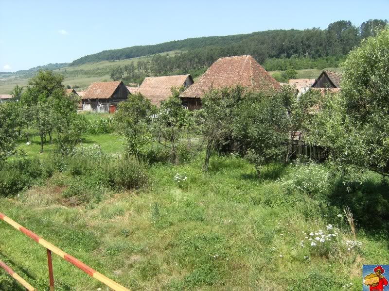 308 : Sighisoara - Odorhei - Pagina 2 DSCF0645