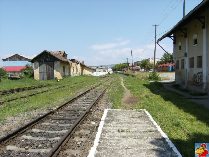 308 : Sighisoara - Odorhei - Pagina 2 DSCF0685