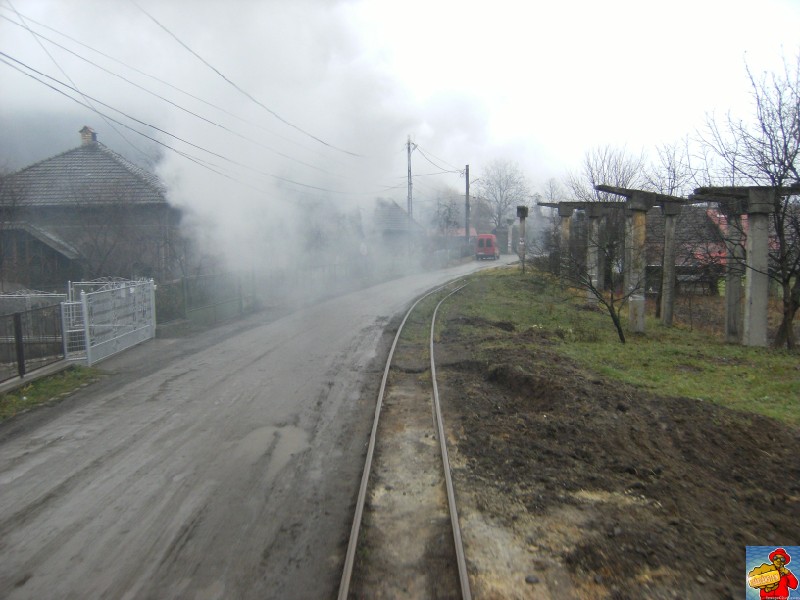 Cu mocăniţa de la Brad la Crişcior DSCF5692