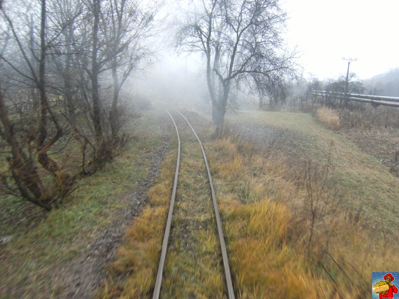 Cu mocăniţa de la Brad la Crişcior DSCF5695