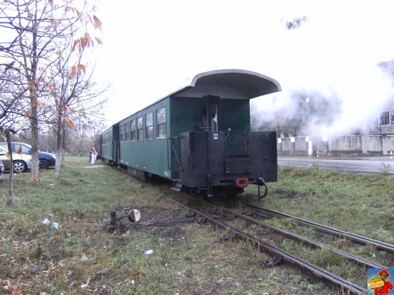 Cu mocăniţa de la Brad la Crişcior DSCF5708