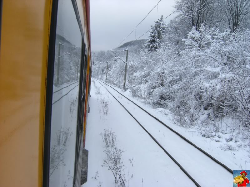 M 200 : Brasov - Sibiu - Arad - Curtici DSCF8267