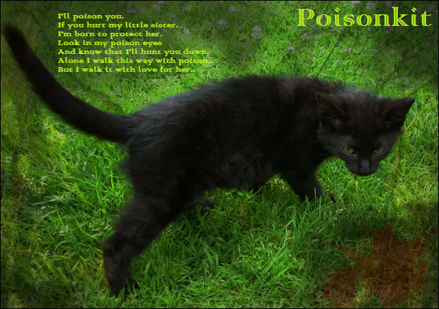 Bekijk een karakter blad Poisonkitprog
