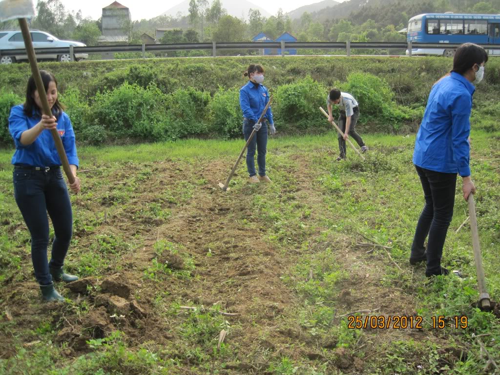 Chi đoàn Văn phòng UBND tỉnh với Tháng Thanh niên năm 2012 IMG_6191