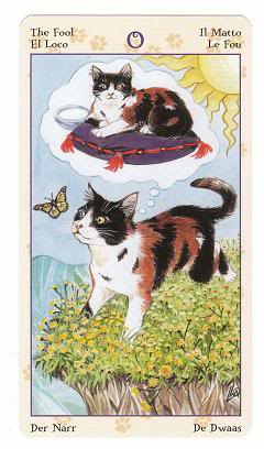 0 The Fool - Cat's Eye Tarot 0TheFool-TarotofPaganCats_0002