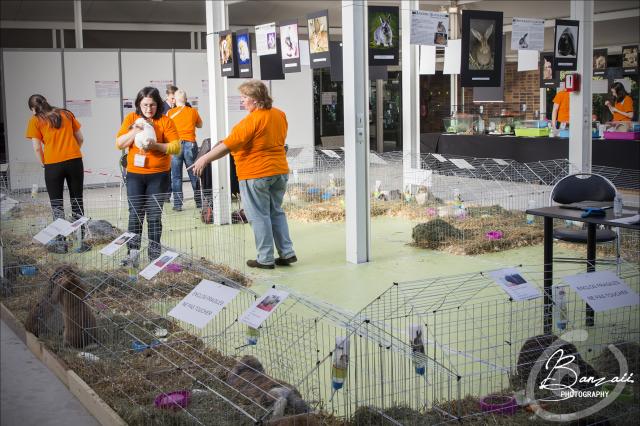 (FR) Animal Expo - 4 & 5 Oct. 2014 PixEOS_46064-2_zps3f1cef8f