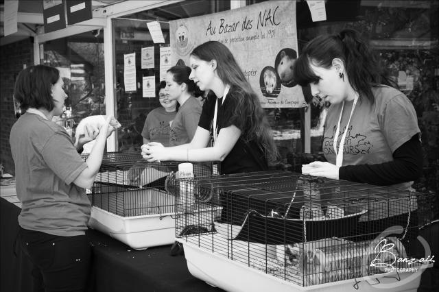 (FR) Animal Expo - 4 & 5 Oct. 2014 PixEOS_46084-2_zpsc6b5c5b4