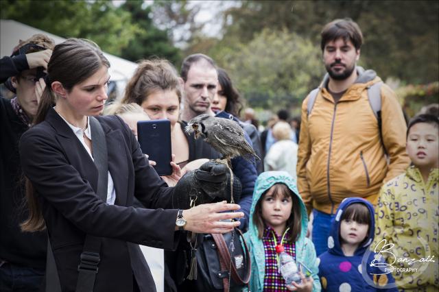 (FR) Animal Expo - 4 & 5 Oct. 2014 PixEOS_46274-2_zps65e3fc62