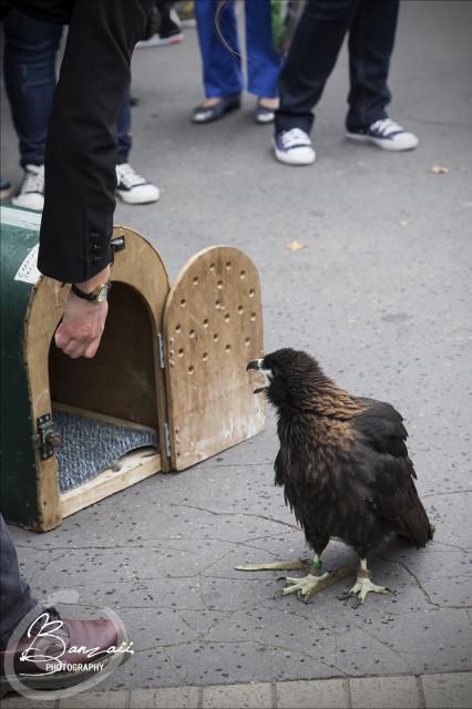 (FR) Animal Expo - 4 & 5 Oct. 2014 PixEOS_46285-2_zps0f83c336