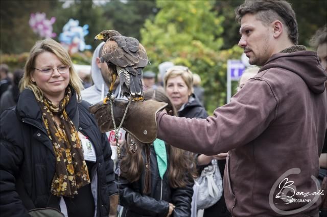 (FR) Animal Expo - 4 & 5 Oct. 2014 PixEOS_46308-2_zps9068ddf5