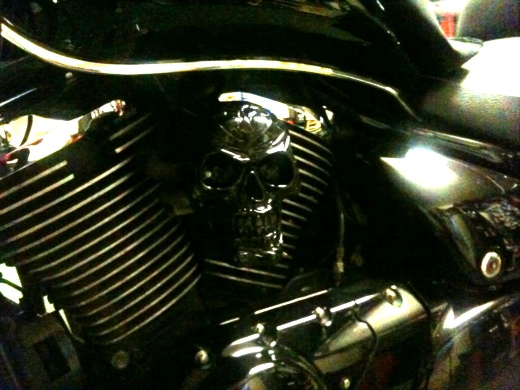 Skull One Off Pair Valve Cover on VZ800 Photo16