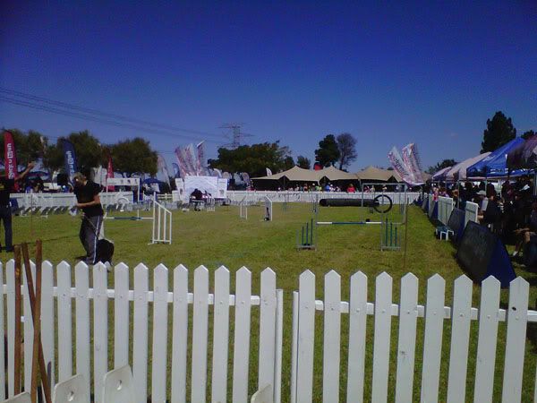 Dog Show today IMG-20120409-00226