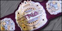 Australian Untied Wrestling (Personal Booking) TNATelevisionTitle