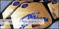 WWE: The Better Way Official Thread WWETagTeamChampionships