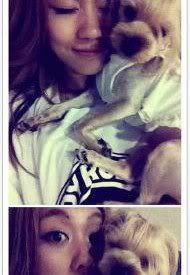 Fei sube una imagen con un lindo perrito 283043_233241206712307_166271533409275_616177_5506020_n