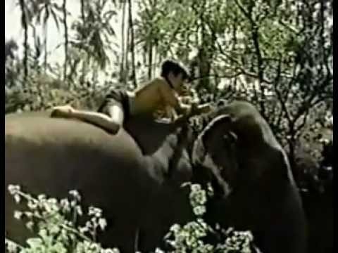 El Niño y el Elefante - DVDRip Hqdefault2