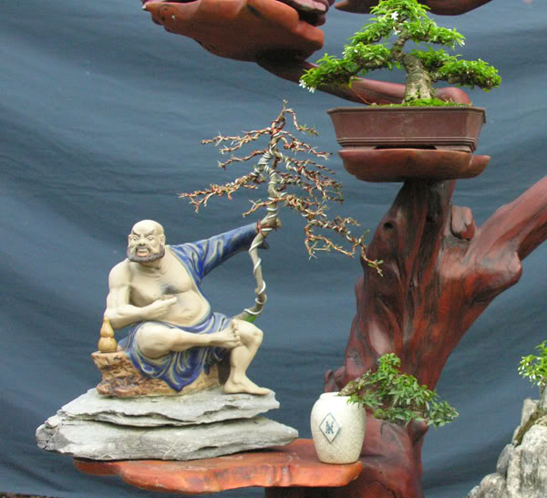 The best of Shohin and Mame in lnvinh Garden Mini4
