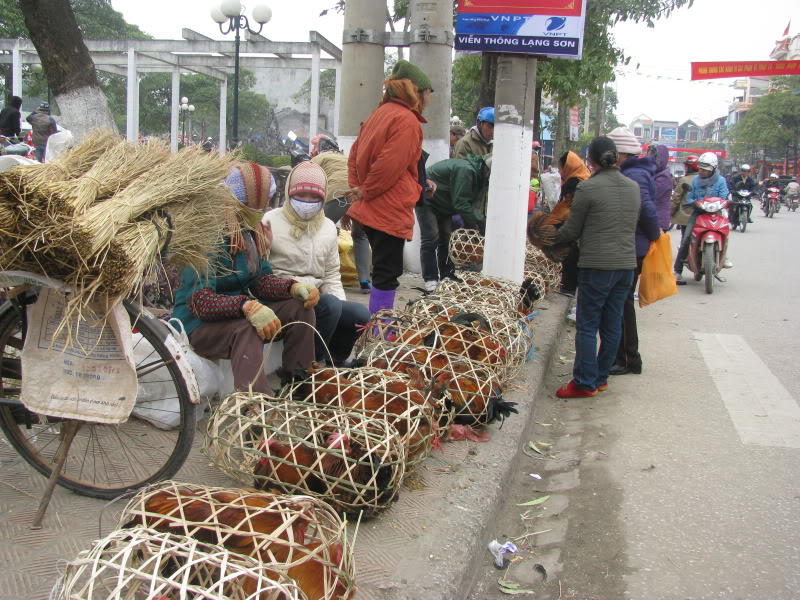 Tết Lạng Sơn 2011 IMG_0235