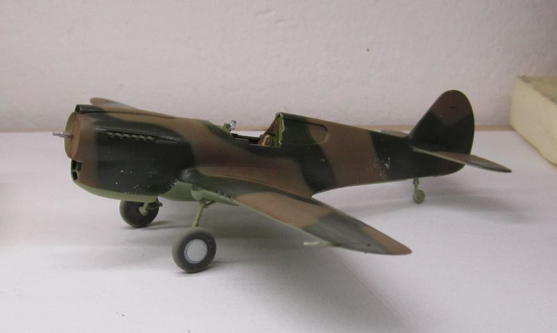 P 40 E Hasegawa 1/72 IMG_1281